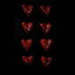 Valentine's Heart